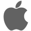 apple_icon.png