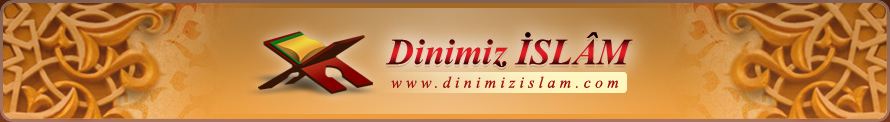 dinimizislam_logobar.png